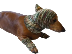 Camouflage kit hat and leggings for dogs, Military kit for dachshunds