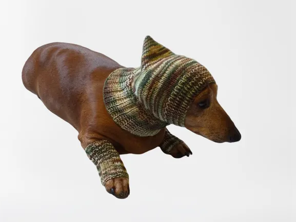 Camouflage kit hat and leggings for dogs, Military kit for dachshunds