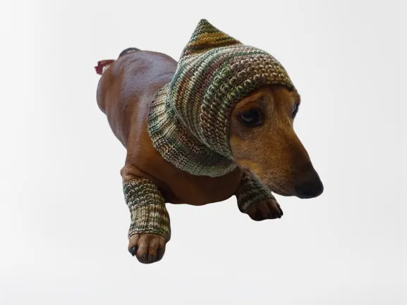 Camouflage kit hat and leggings for dogs, Military kit for dachshunds